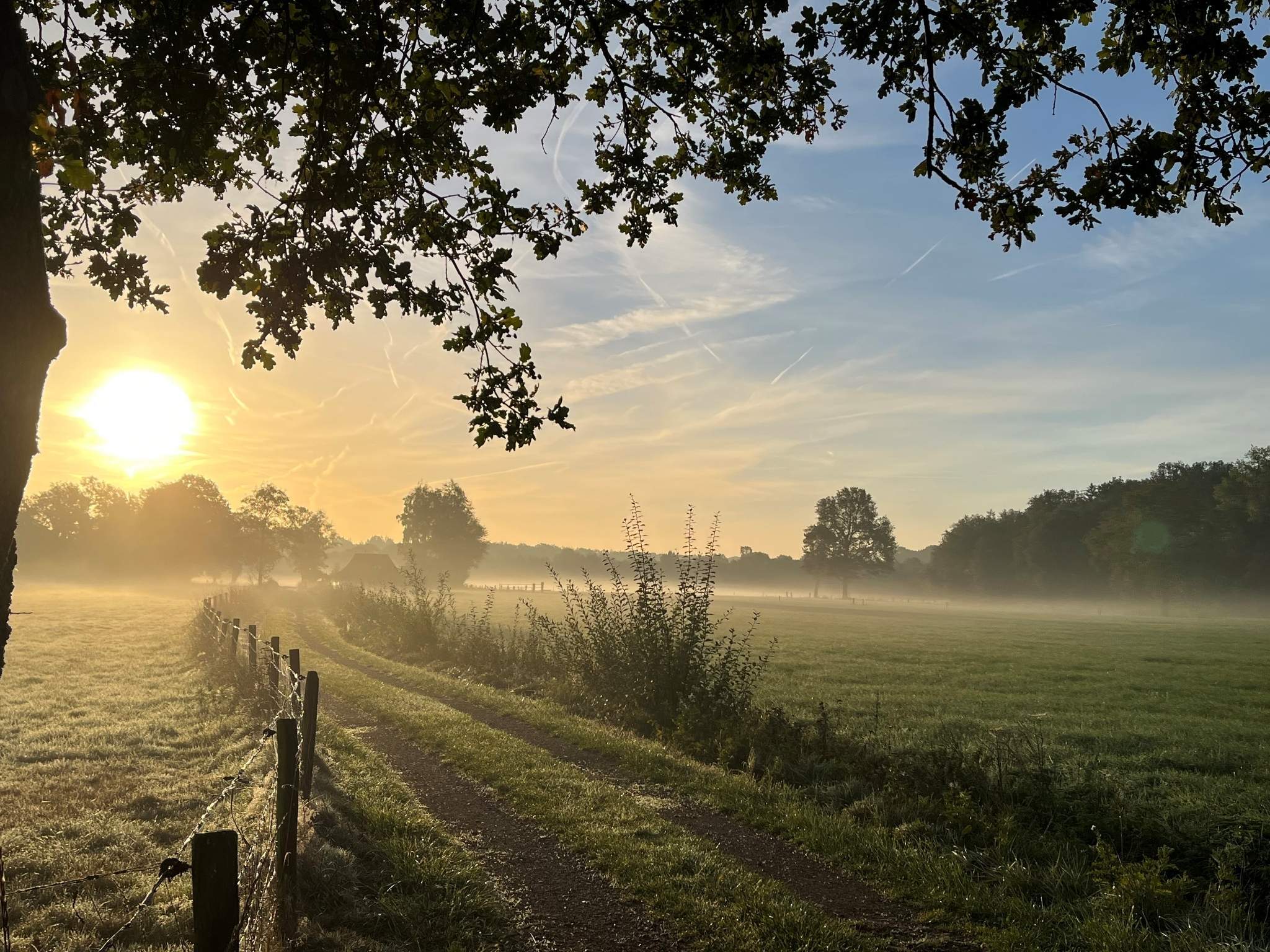Leve de Lente arrangement, vanaf 3 dagen