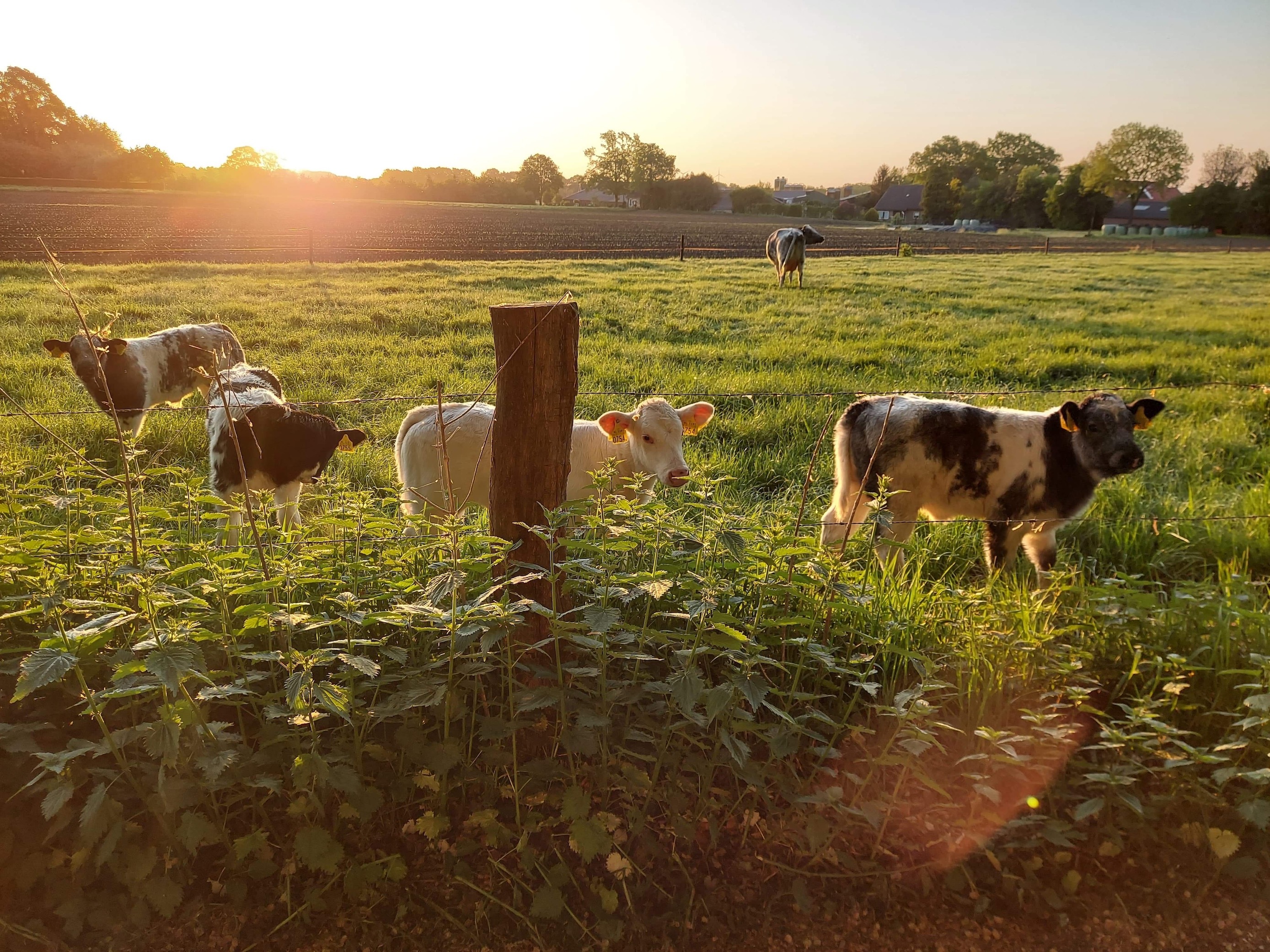 Solo Retraite, vanaf 3 dagen